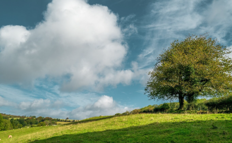 Warum reagiert das Wetter auf Luftbewegung
