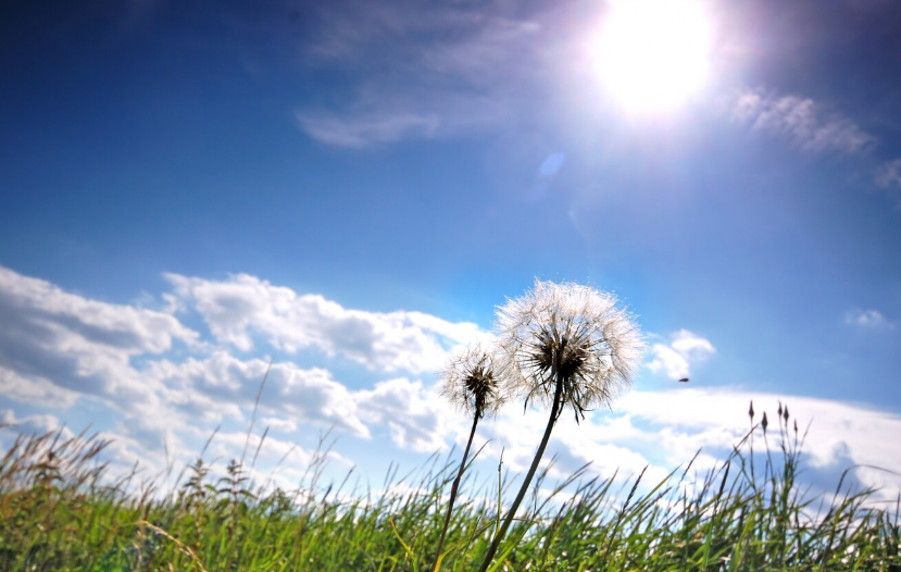 Warum reagiert das Wetter auf Temperaturunterschiede?